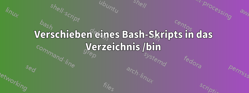 Verschieben eines Bash-Skripts in das Verzeichnis /bin