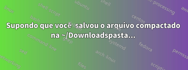 Supondo que você salvou o arquivo compactado na ~/Downloadspasta...