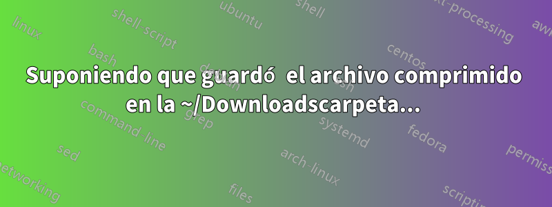 Suponiendo que guardó el archivo comprimido en la ~/Downloadscarpeta...