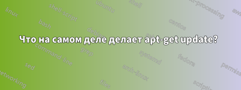 Что на самом деле делает apt-get update? 