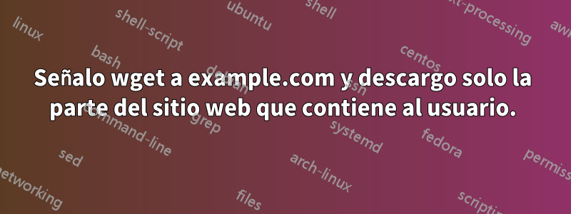 Señalo wget a example.com y descargo solo la parte del sitio web que contiene al usuario.