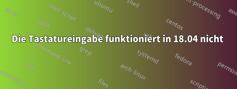 Die Tastatureingabe funktioniert in 18.04 nicht