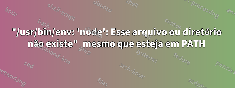 "/usr/bin/env: 'node': Esse arquivo ou diretório não existe" mesmo que esteja em PATH