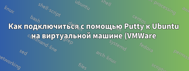 Как подключиться с помощью Putty к Ubuntu на виртуальной машине (VMWare)