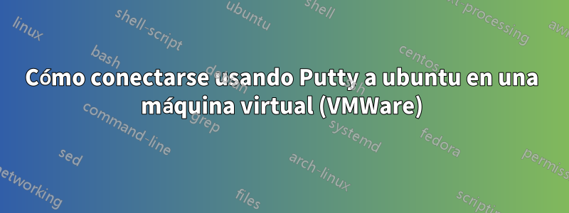 Cómo conectarse usando Putty a ubuntu en una máquina virtual (VMWare)