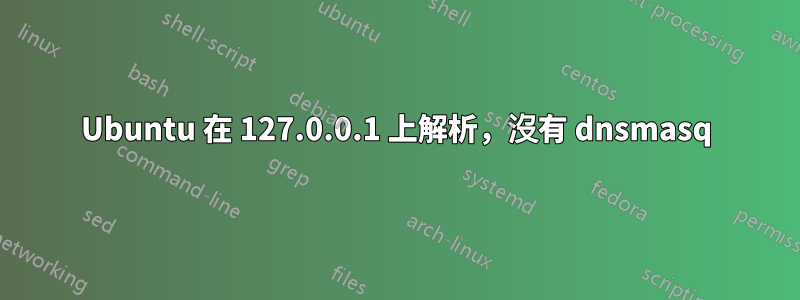 Ubuntu 在 127.0.0.1 上解析，沒有 dnsmasq