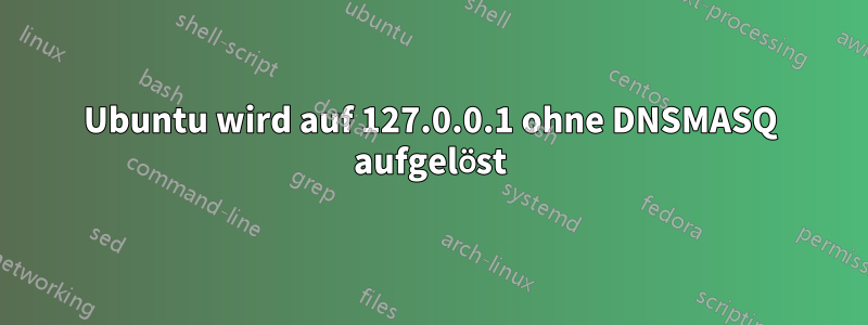 Ubuntu wird auf 127.0.0.1 ohne DNSMASQ aufgelöst