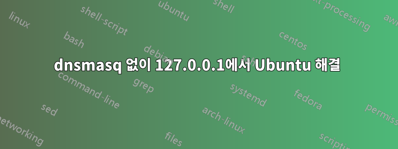 dnsmasq 없이 127.0.0.1에서 Ubuntu 해결