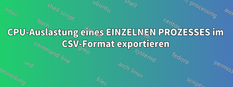 CPU-Auslastung eines EINZELNEN PROZESSES im CSV-Format exportieren