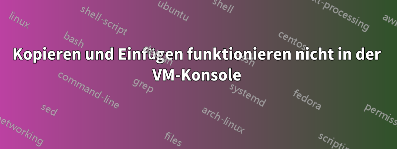 Kopieren und Einfügen funktionieren nicht in der VM-Konsole