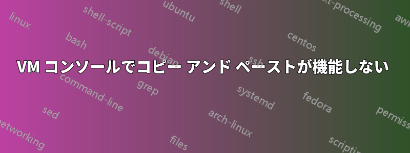 VM コンソールでコピー アンド ペーストが機能しない