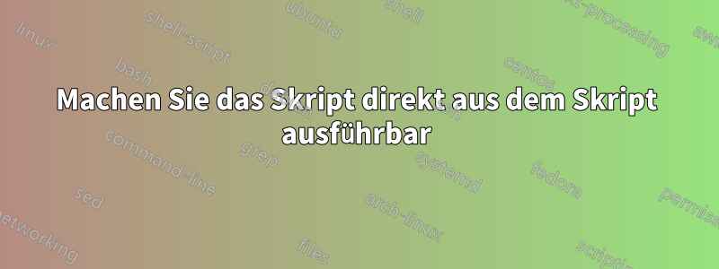 Machen Sie das Skript direkt aus dem Skript ausführbar