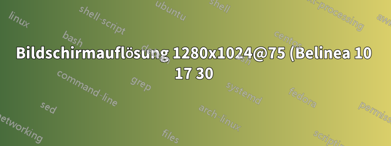 Bildschirmauflösung 1280x1024@75 (Belinea 10 17 30) funktioniert nicht richtig – Ubuntu 18.04 LTS