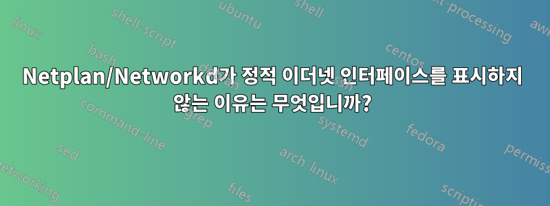 Netplan/Networkd가 정적 이더넷 인터페이스를 표시하지 않는 이유는 무엇입니까?