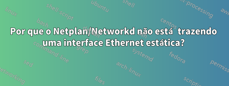 Por que o Netplan/Networkd não está trazendo uma interface Ethernet estática?