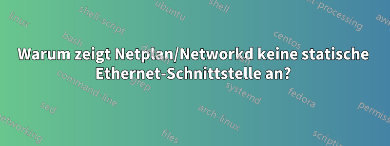 Warum zeigt Netplan/Networkd keine statische Ethernet-Schnittstelle an?