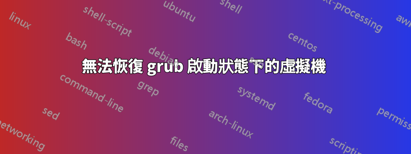 無法恢復 grub 啟動狀態下的虛擬機