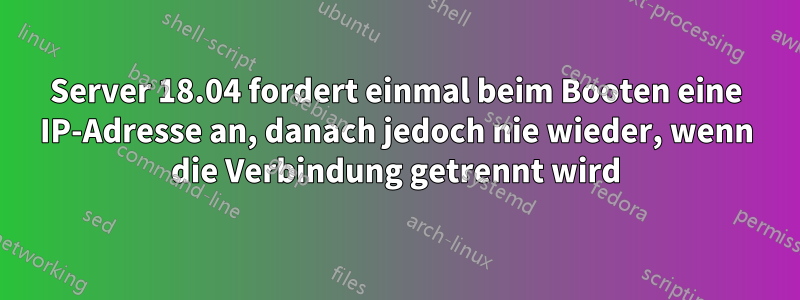 Server 18.04 fordert einmal beim Booten eine IP-Adresse an, danach jedoch nie wieder, wenn die Verbindung getrennt wird