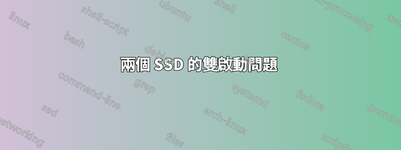 兩個 SSD 的雙啟動問題