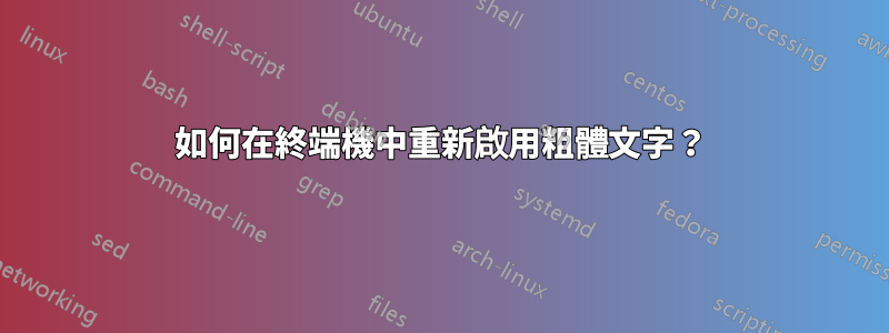 如何在終端機中重新啟用粗體文字？