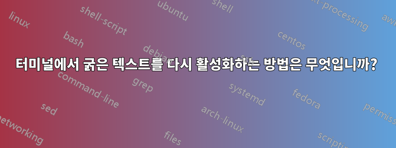 터미널에서 굵은 텍스트를 다시 활성화하는 방법은 무엇입니까?