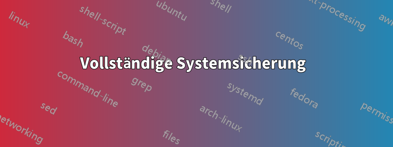 Vollständige Systemsicherung 