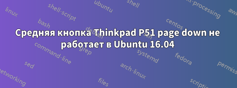 Средняя кнопка Thinkpad P51 page down не работает в Ubuntu 16.04