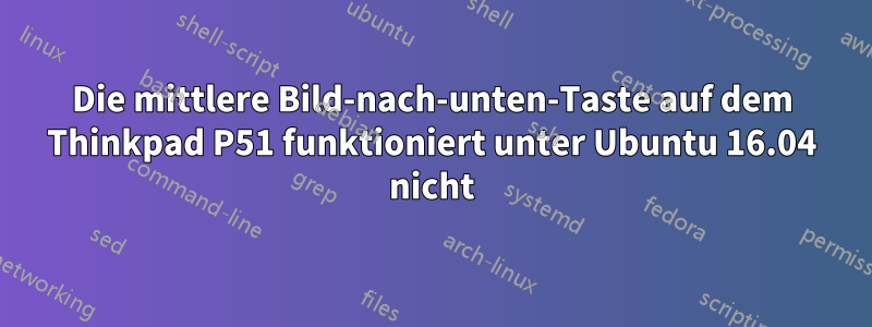 Die mittlere Bild-nach-unten-Taste auf dem Thinkpad P51 funktioniert unter Ubuntu 16.04 nicht