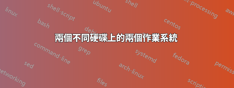 兩個不同硬碟上的兩個作業系統