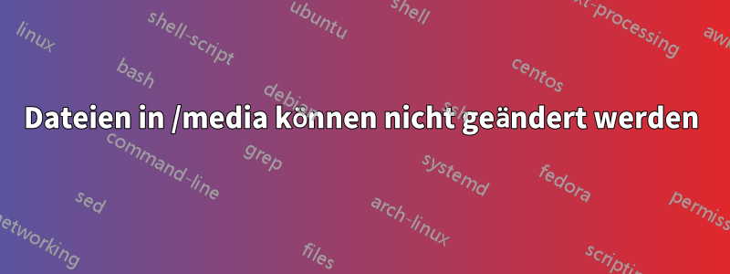 Dateien in /media können nicht geändert werden