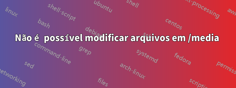 Não é possível modificar arquivos em /media