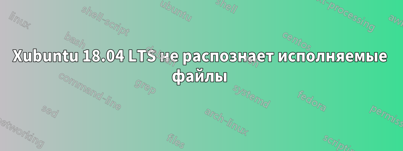 Xubuntu 18.04 LTS не распознает исполняемые файлы
