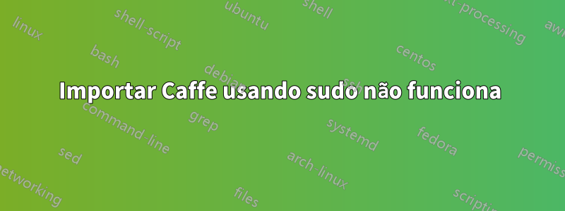Importar Caffe usando sudo não funciona