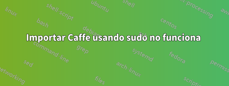 Importar Caffe usando sudo no funciona