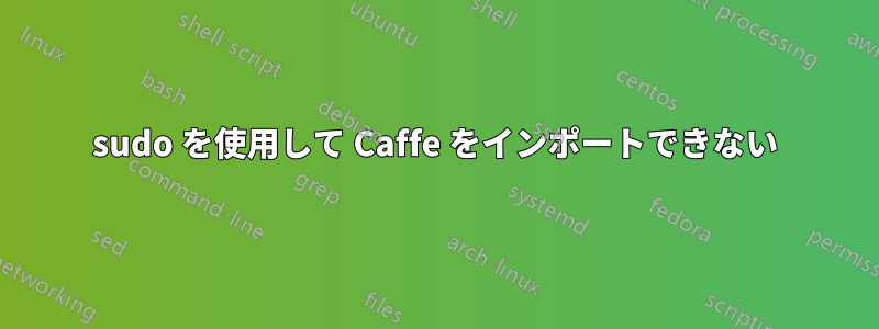 sudo を使用して Caffe をインポートできない