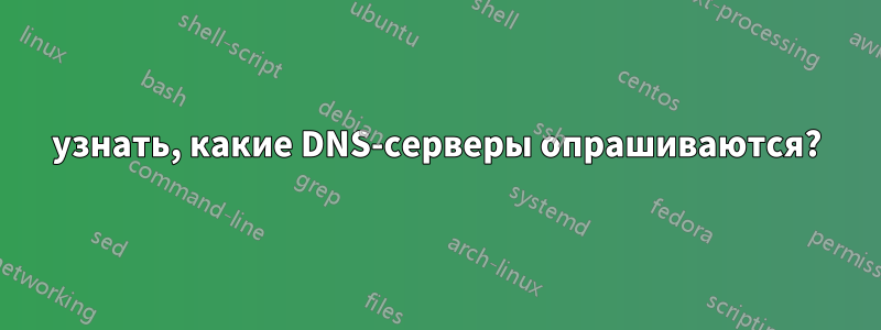 узнать, какие DNS-серверы опрашиваются?