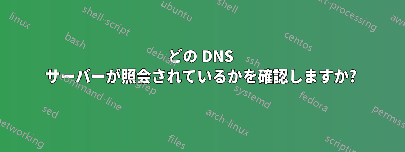 どの DNS サーバーが照会されているかを確認しますか?