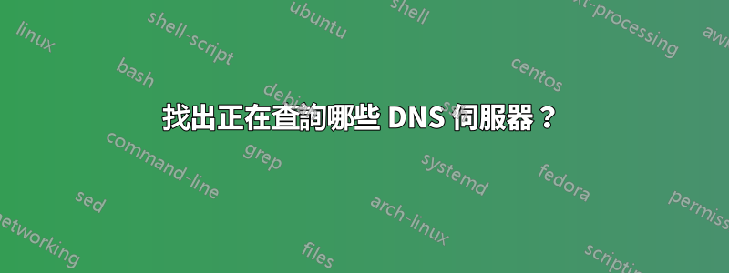 找出正在查詢哪些 DNS 伺服器？