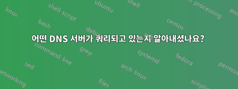 어떤 DNS 서버가 쿼리되고 있는지 알아내셨나요?