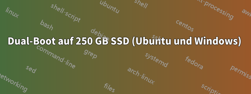 Dual-Boot auf 250 GB SSD (Ubuntu und Windows)