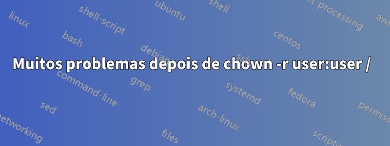 Muitos problemas depois de chown -r user:user / 