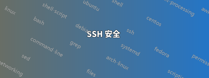 SSH 安全
