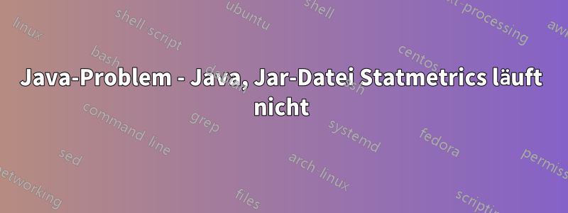 Java-Problem - Java, Jar-Datei Statmetrics läuft nicht