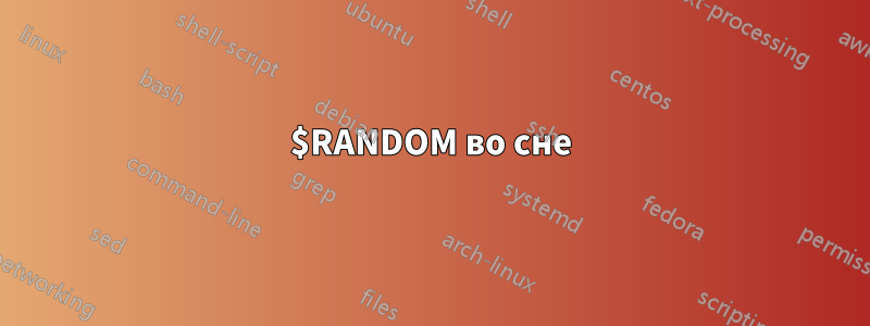 $RANDOM во сне
