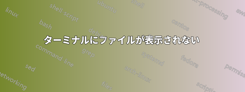ターミナルにファイルが表示されない