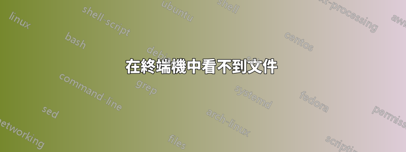 在終端機中看不到文件
