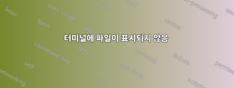 터미널에 파일이 표시되지 않음