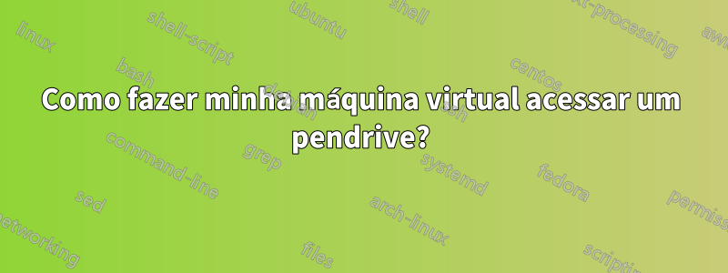 Como fazer minha máquina virtual acessar um pendrive?