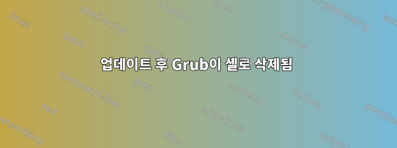 업데이트 후 Grub이 셸로 삭제됨