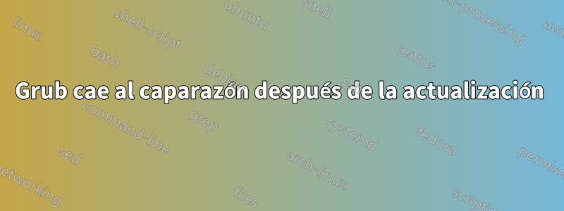 Grub cae al caparazón después de la actualización
